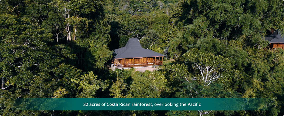 Imiloa Institute rainforest setting overlooking the Pacific